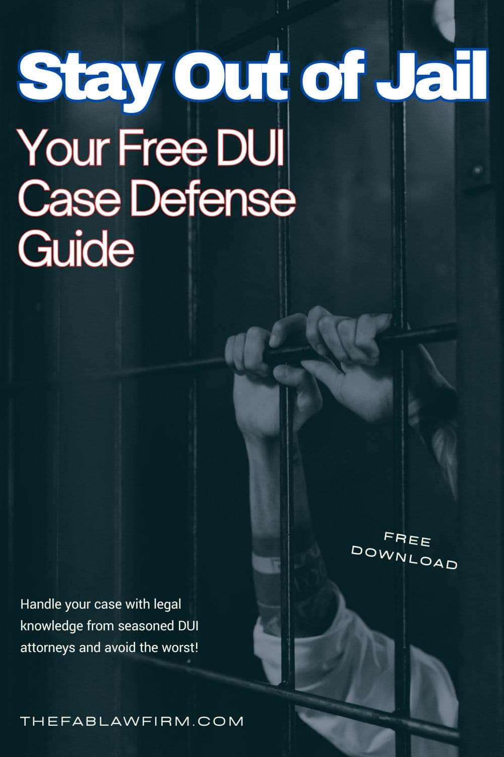 DUI defense guide — criminal defense lead magnet created for The Fab Law Firm